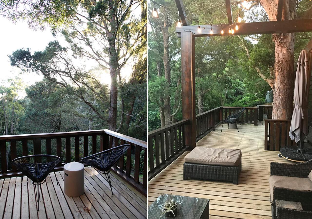 Forestchild Self Catering, The Crags Villa Esterno foto